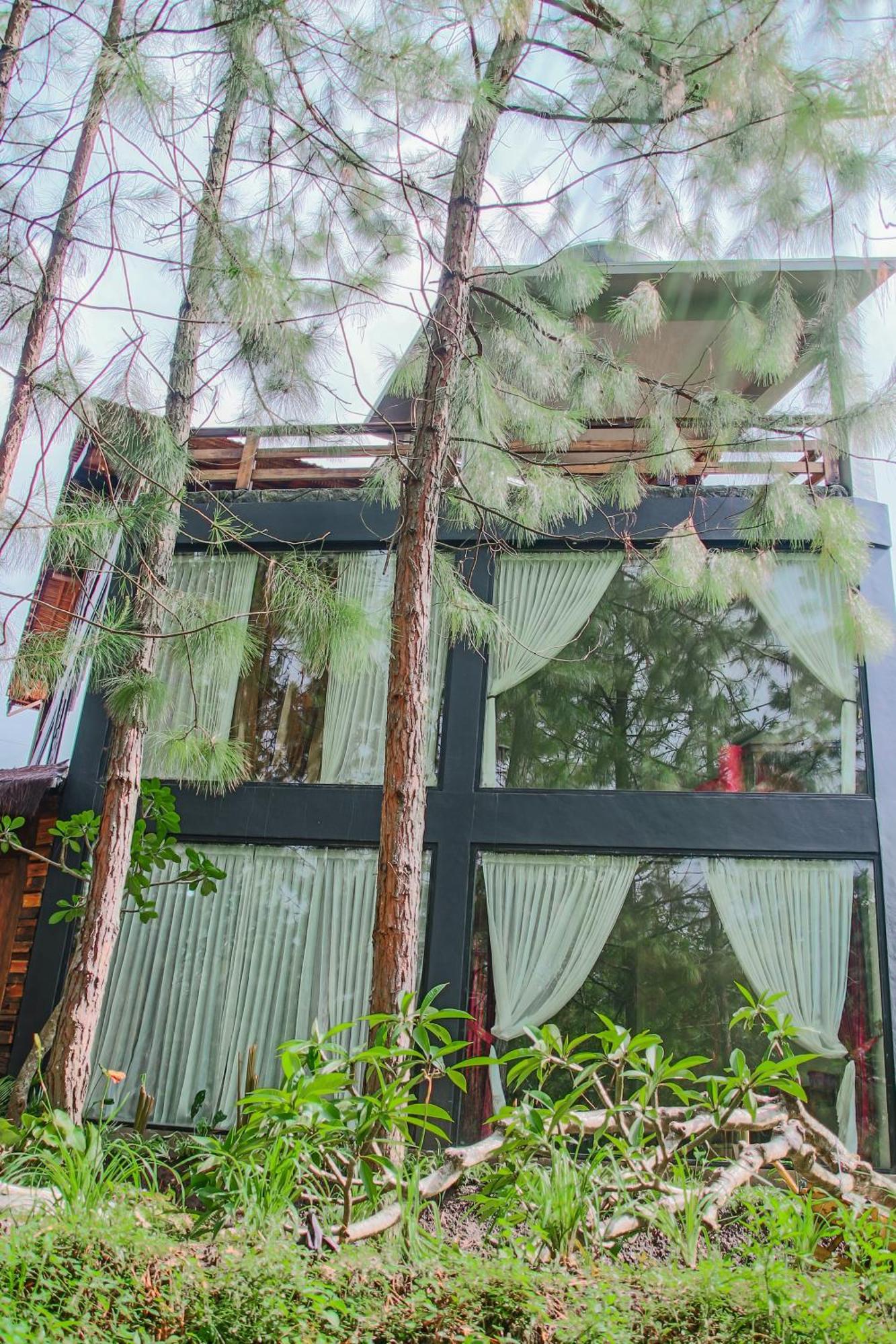Omah Kayu Bromo Villa Ngadisari Luaran gambar