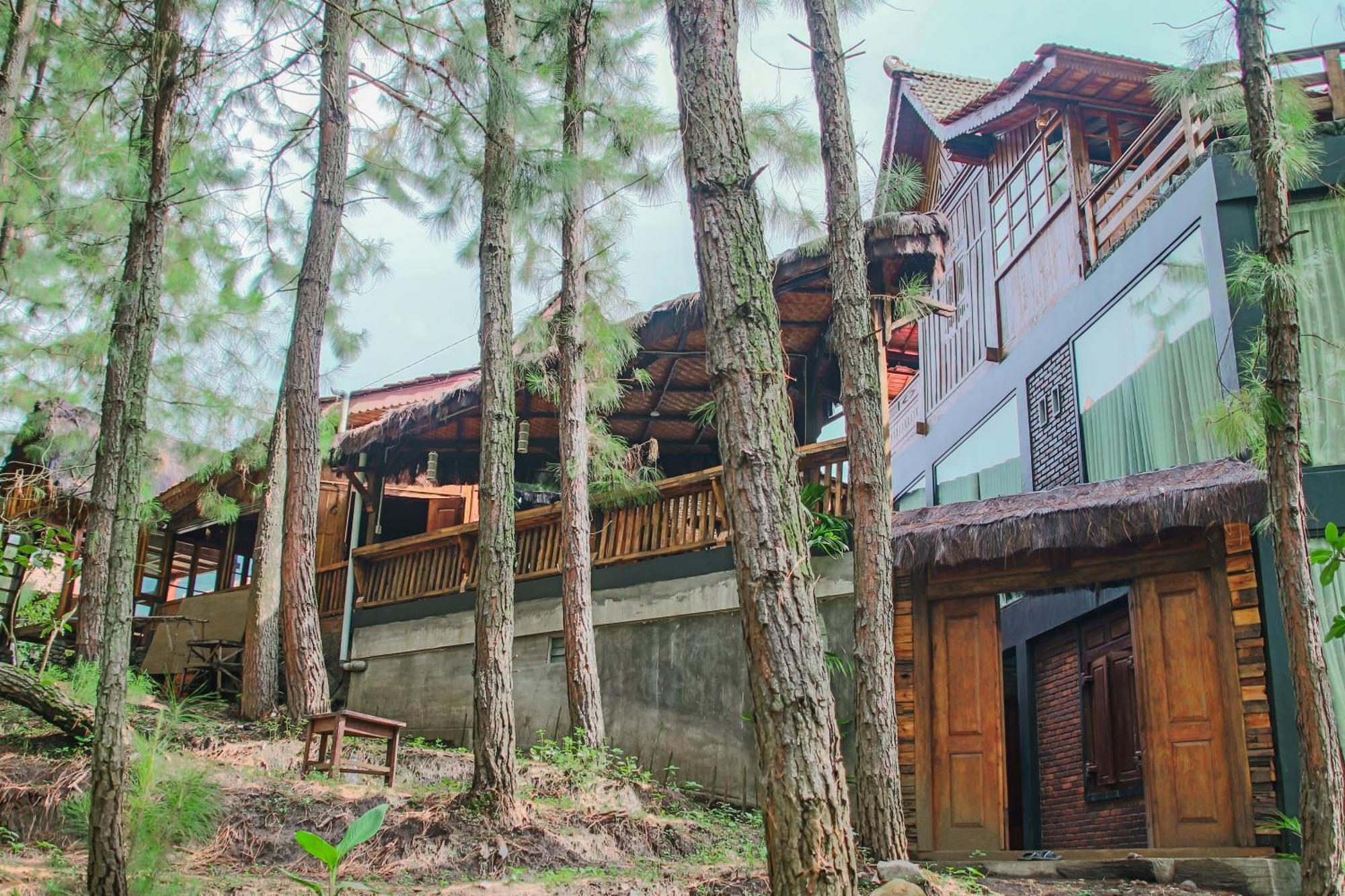 Omah Kayu Bromo Villa Ngadisari Luaran gambar